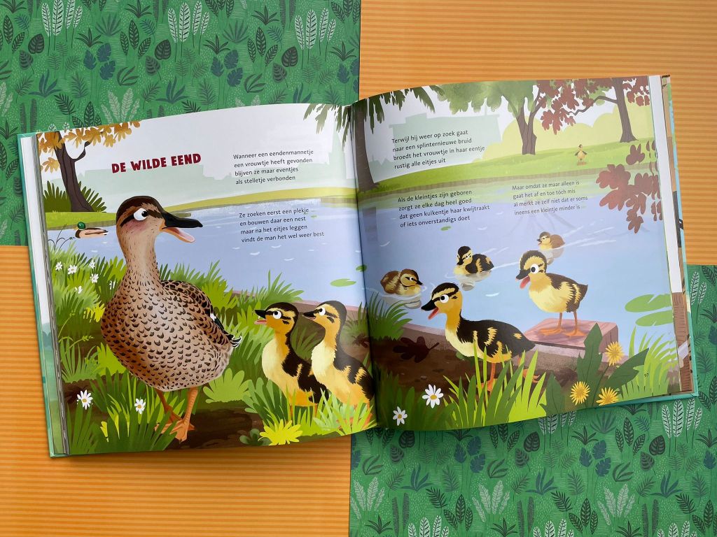 Het dikke vogelboek