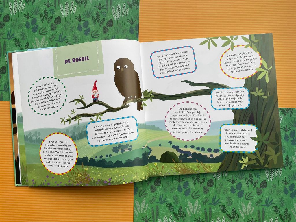 Het dikke vogelboek
