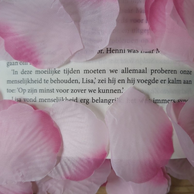 Het verlangen van het weesmeisje