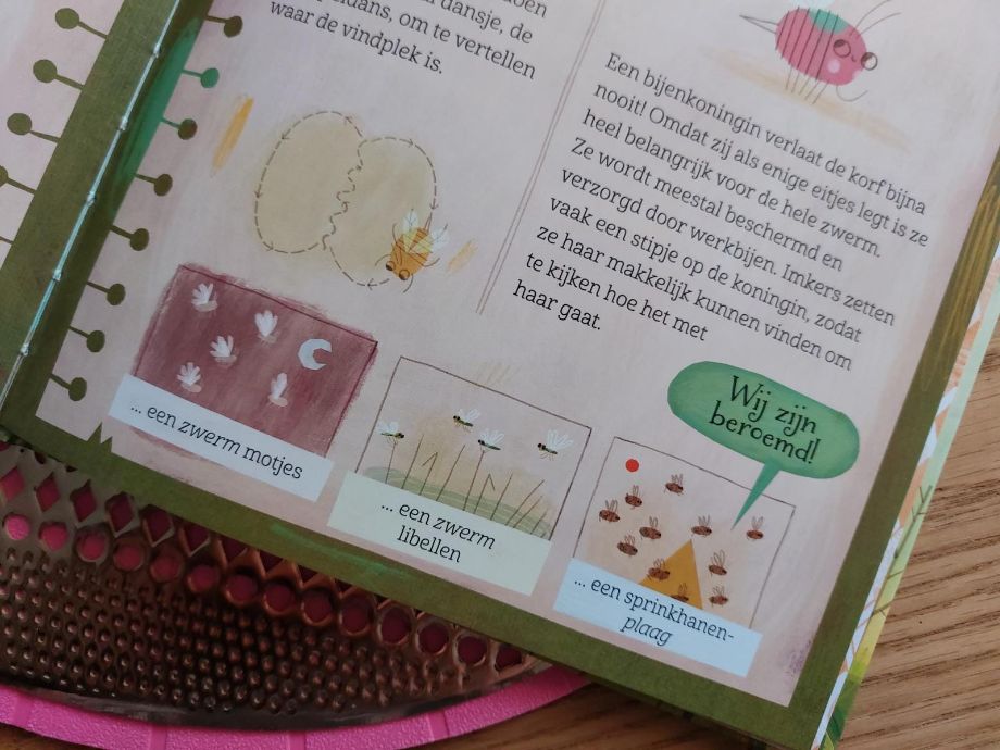 Kleine bij zoekt bloemen