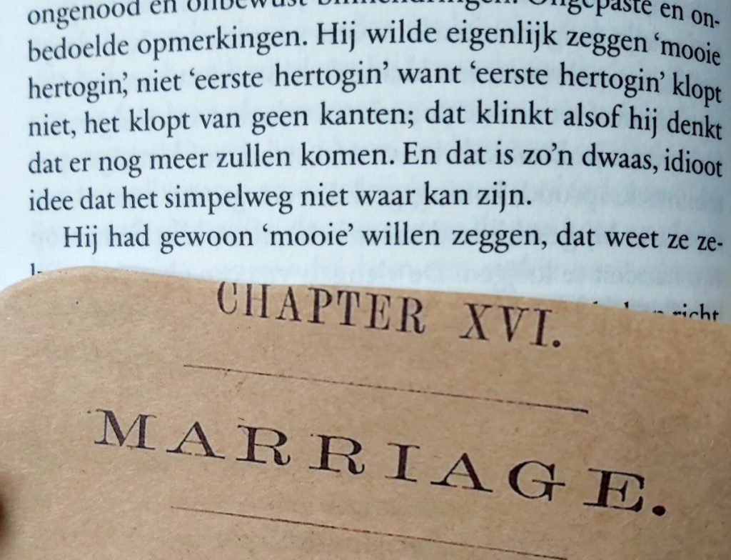 Het huwelijksportret. stuk uit het boek historische roman