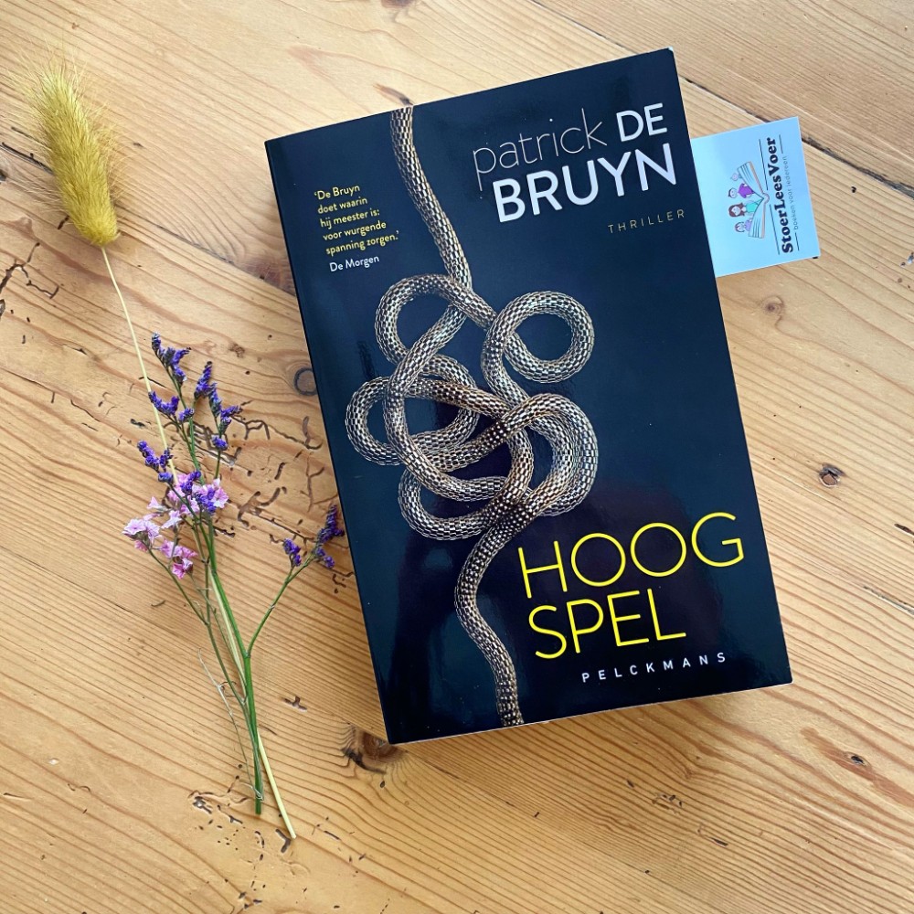 voorkant thriller boek Hoog spel