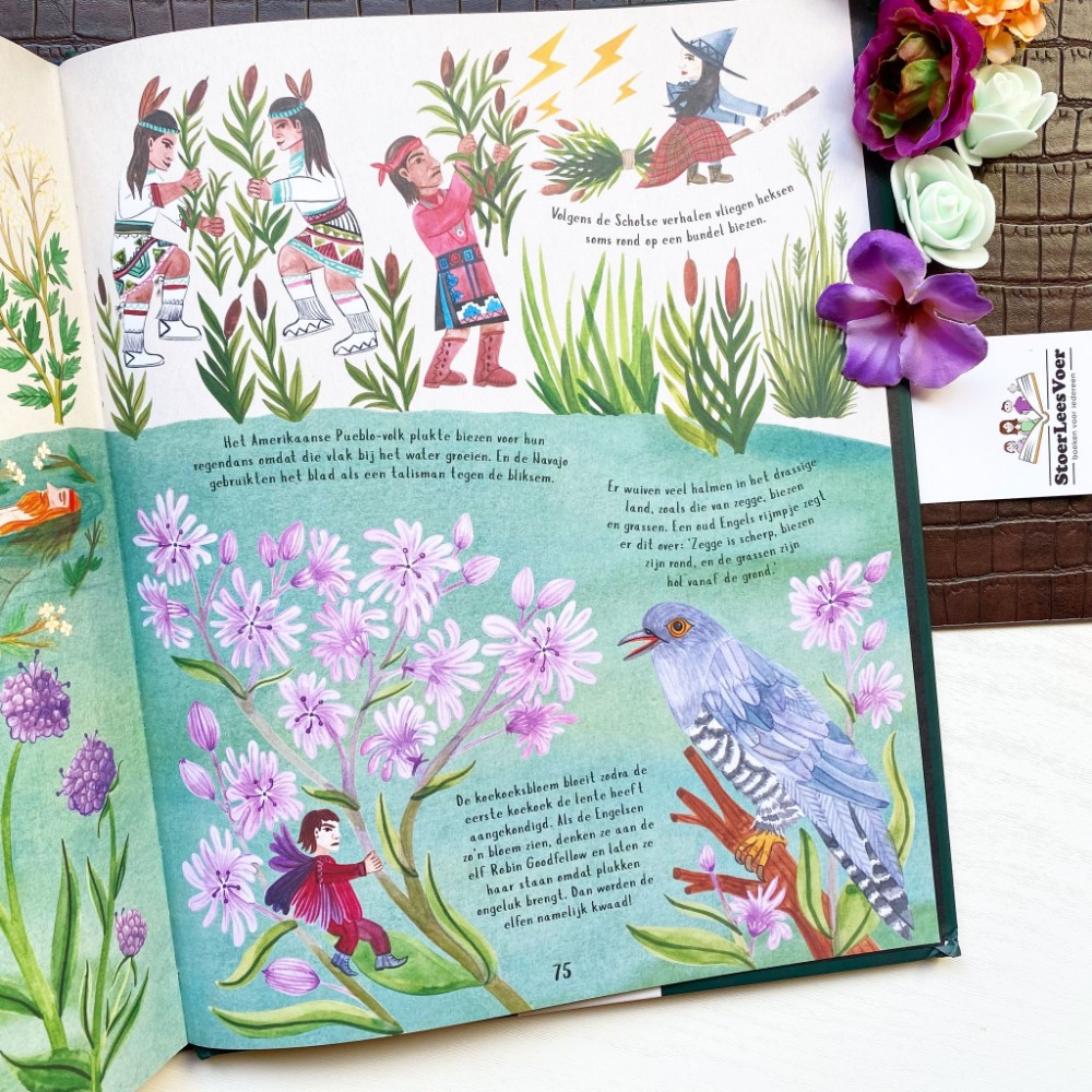 bloemen en planten illustraties