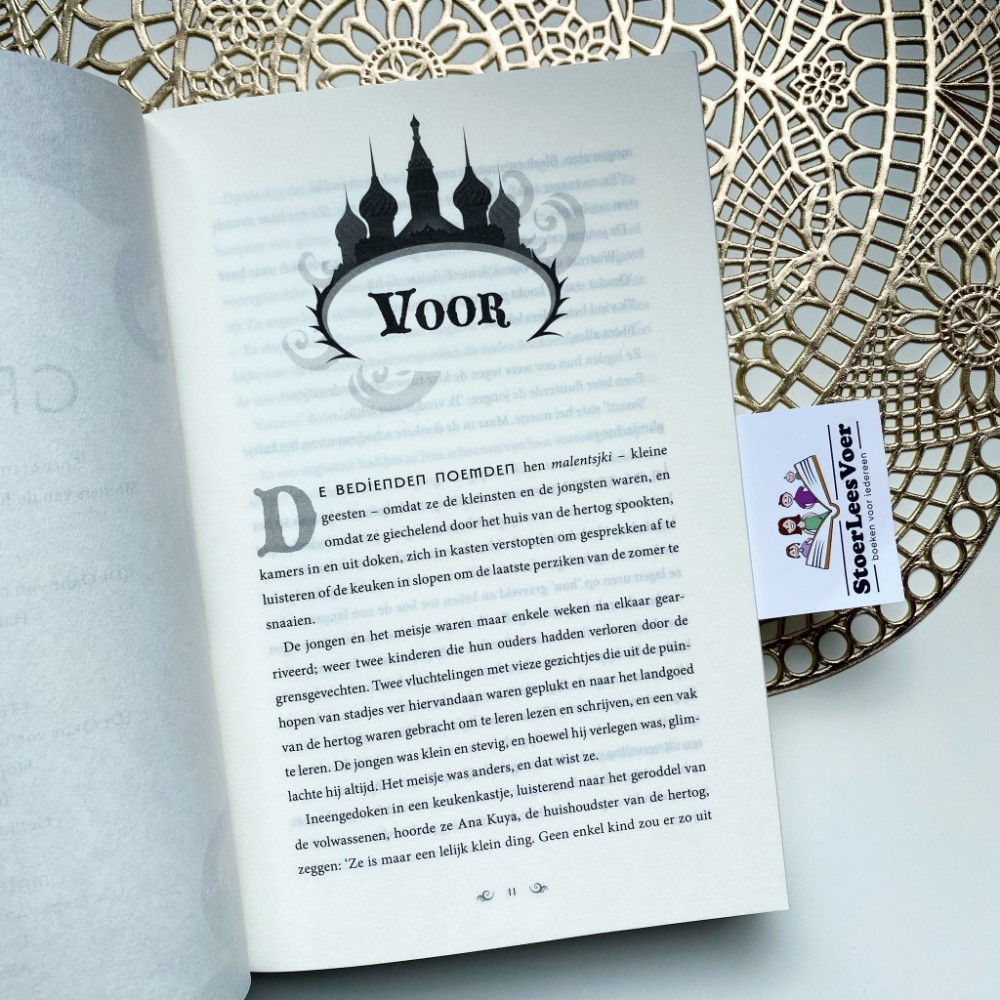 Schim en schaduw, een eerste boek uit De Grisha boekenserie
