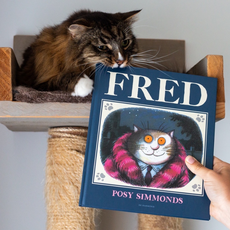voorkant boek met bijtende kat 