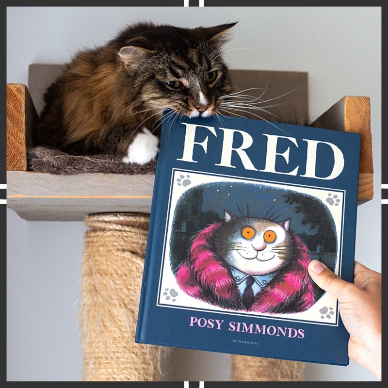 voorkant Fred met kat die in het boek bijt