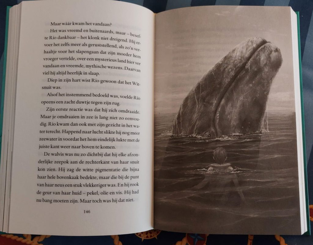 De verdwenen walvis is een magisch verhaal over vriendschap, doorzettingsvermogen, zorgen en de grijze walvis migratie. Levi Pinfold
