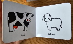 koe en schaap