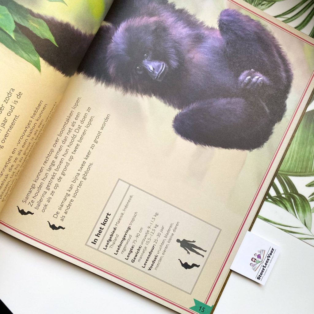 Het allermooiste boek over apen taylor treadwell weetjesboek natuur dieren gottmer