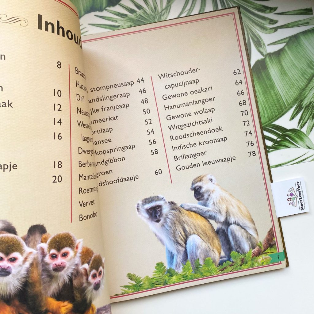 inhoud Het allermooiste boek over apen treadwell taylor weetjesboek natuur dieren gottmer