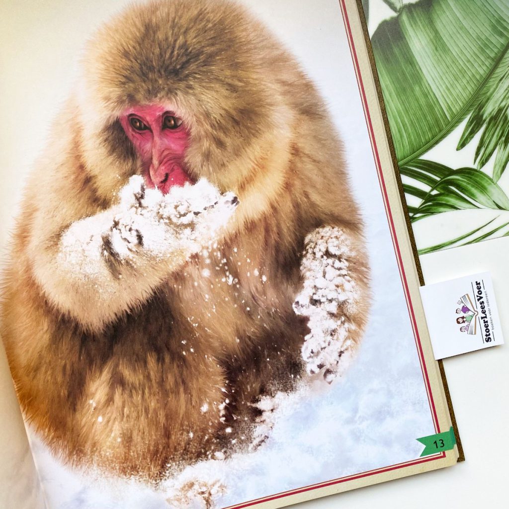 Het allermooiste boek over apen weetjesboek taylor treadwell gottmer natuur dieren